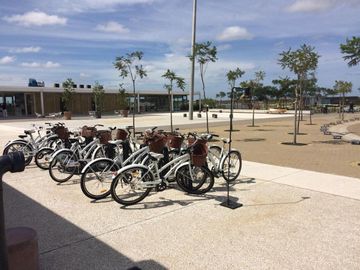 place photo 18