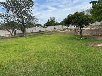 place photo 47