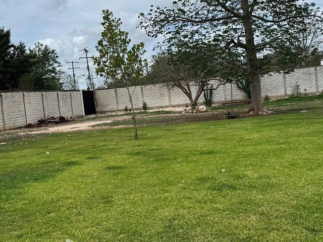 place photo 31