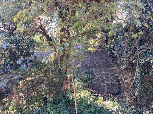 place photo 43
