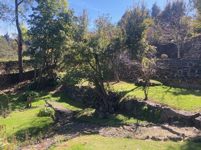 place photo 40