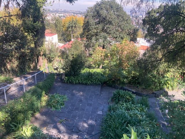 place photo 12