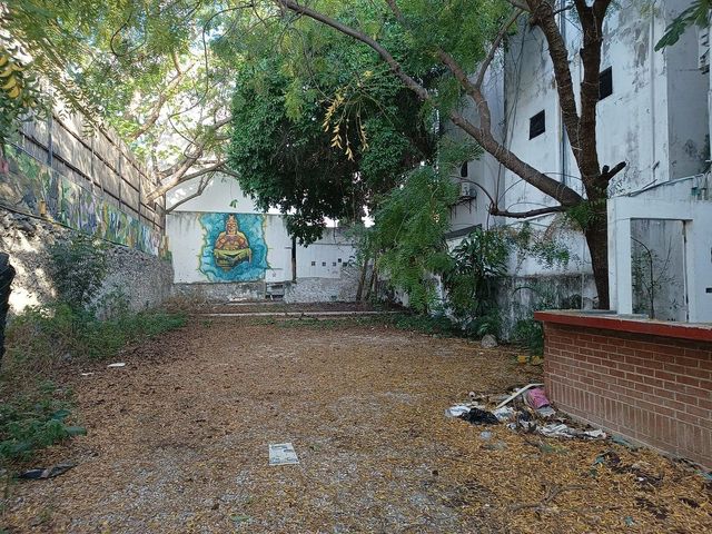 place photo 17
