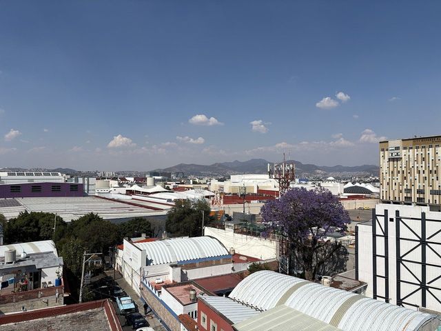place photo 30