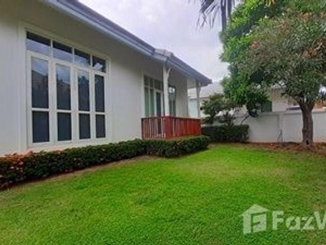 place photo 59