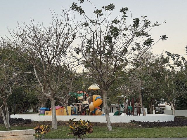 place photo 19