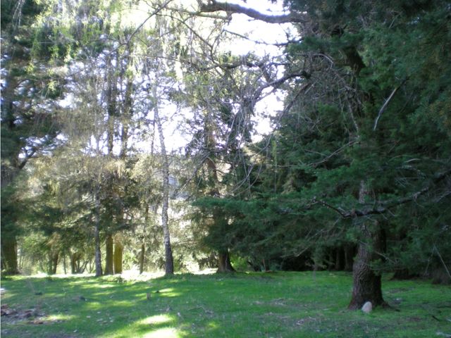 place photo 26