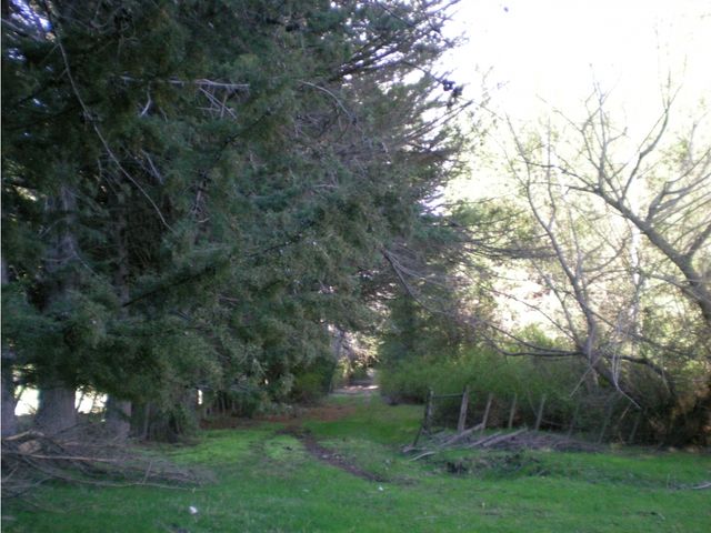 place photo 27