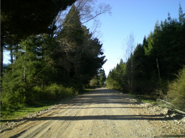 place photo 19