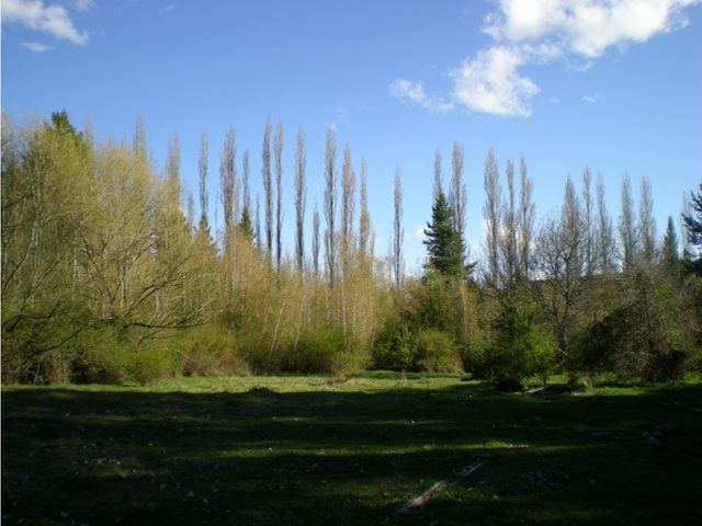 place photo 22