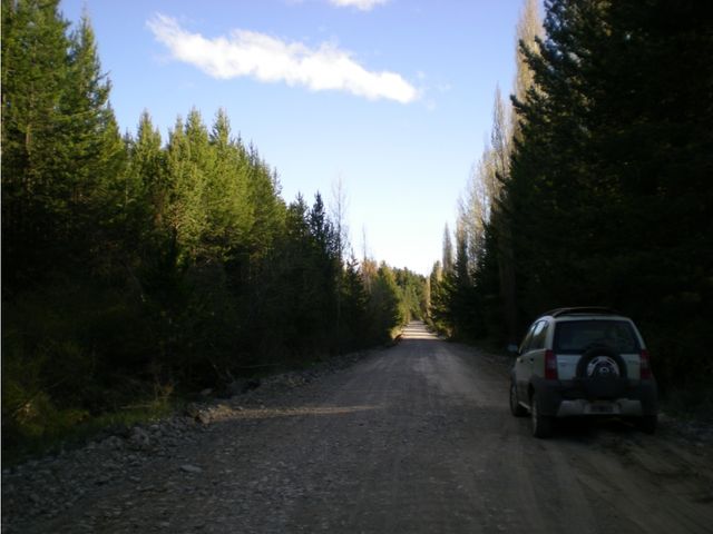 place photo 18