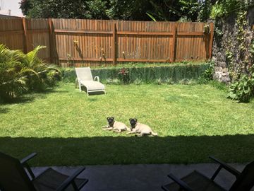 place photo 11