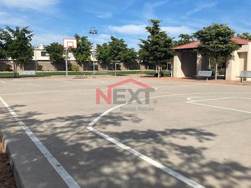 place photo 15