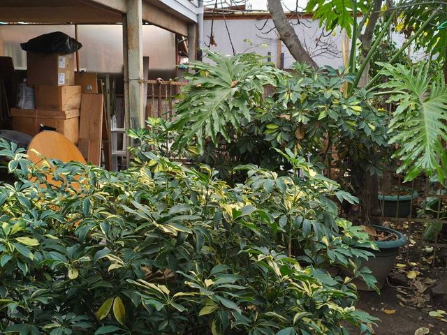 place photo 18