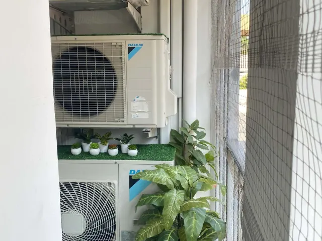 place photo 13
