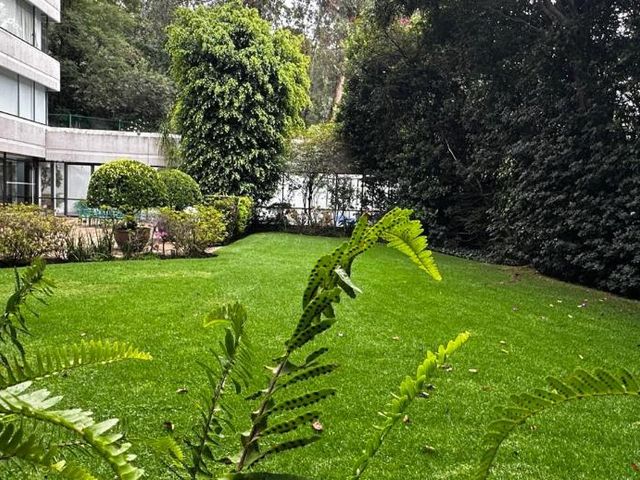 place photo 39