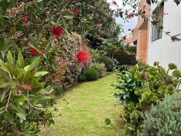 place photo 34