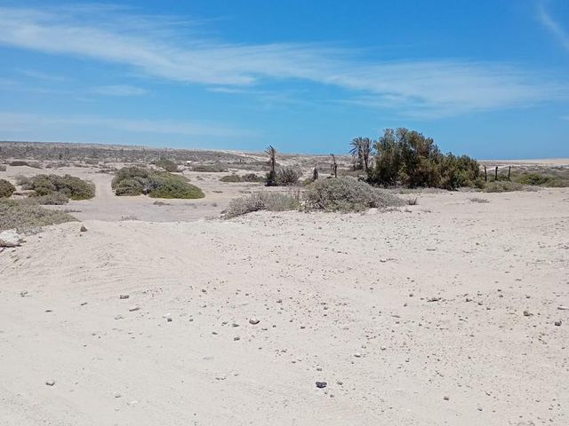 place photo 23