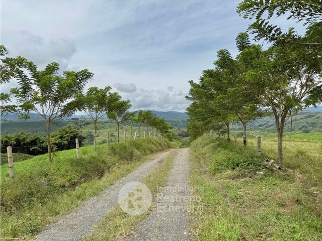 place photo 47