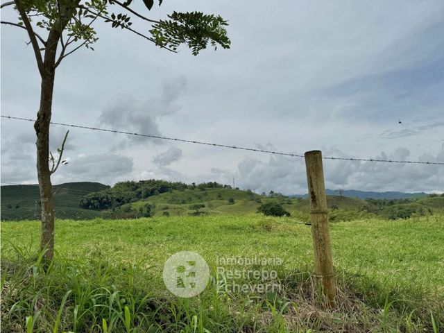 place photo 37