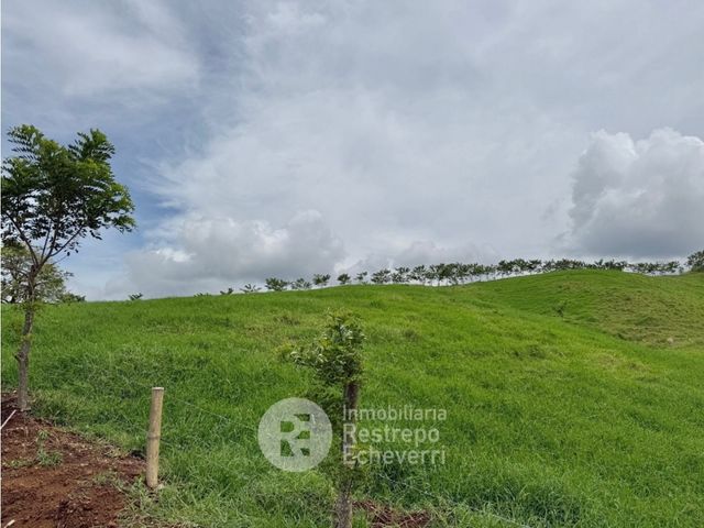 place photo 45