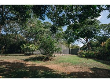place photo 42