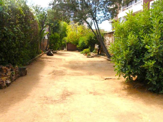 place photo 23