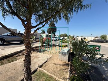 place photo 39