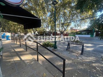 place photo 26