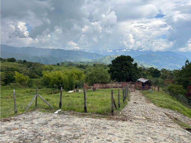 place photo 38