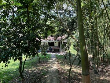 place photo 49