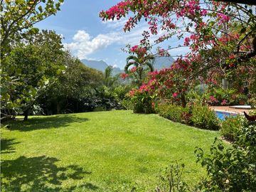 place photo 51