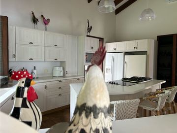 place photo 52