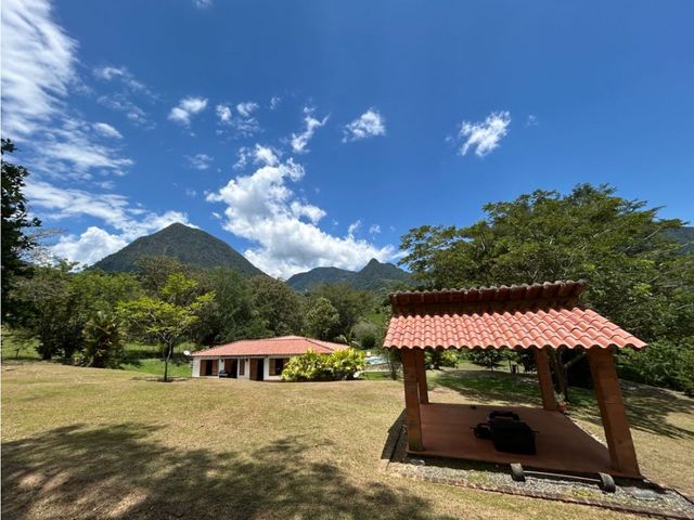 place photo 47