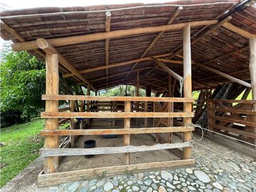 place photo 52