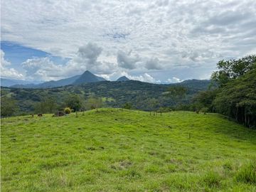 place photo 47