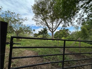 place photo 48