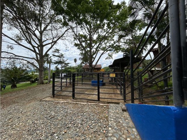 place photo 51
