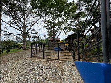 place photo 51