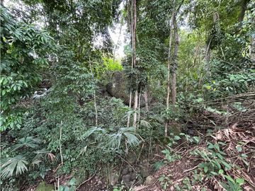 place photo 45