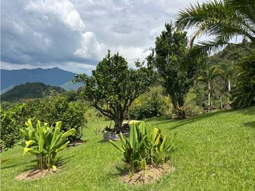 place photo 52