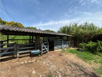 place photo 47