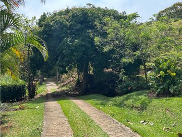 place photo 38