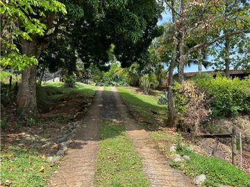 place photo 51