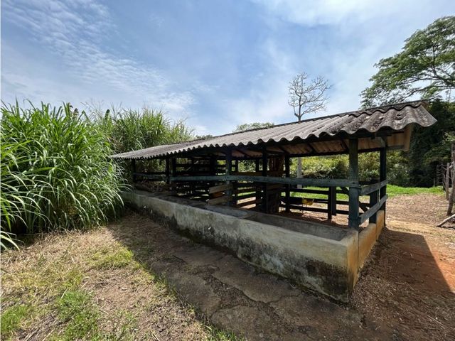 place photo 46