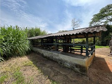 place photo 46