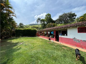 place photo 44