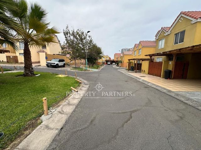 place photo 34