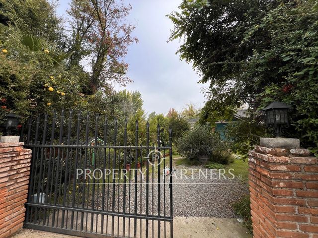 place photo 43