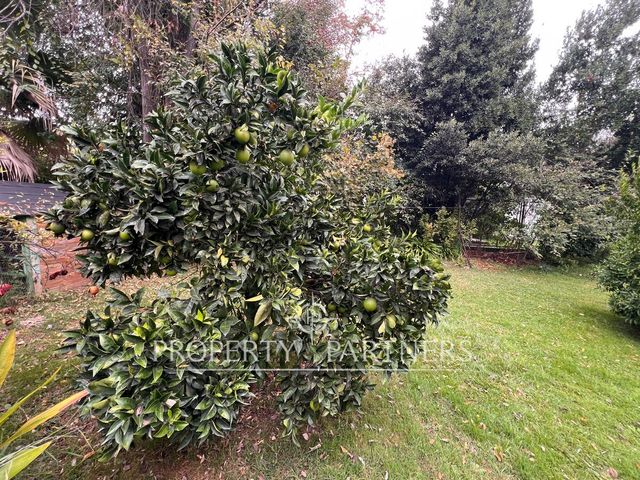 place photo 42